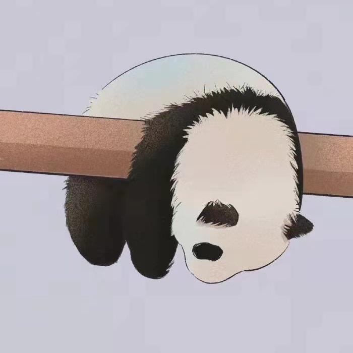 顽皮熊🐻