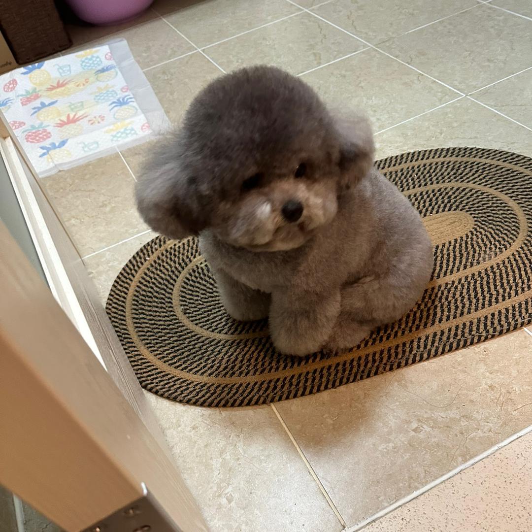 于可爱❤️
