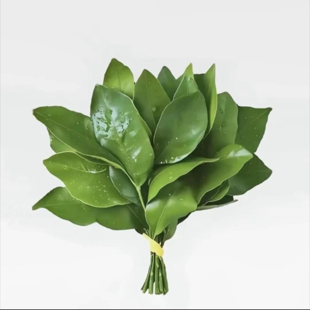 箜