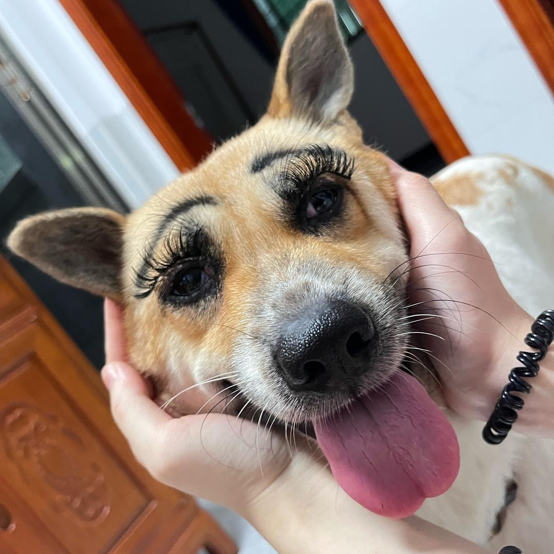 美味蛋黄酥