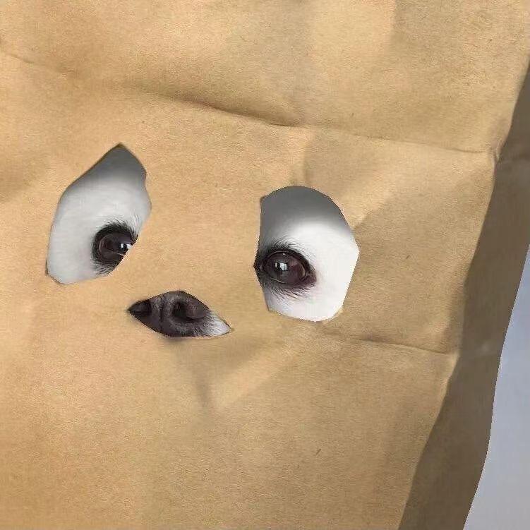 屁崽