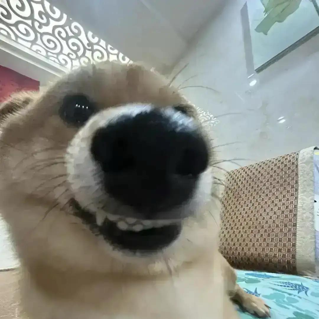 .然后呢