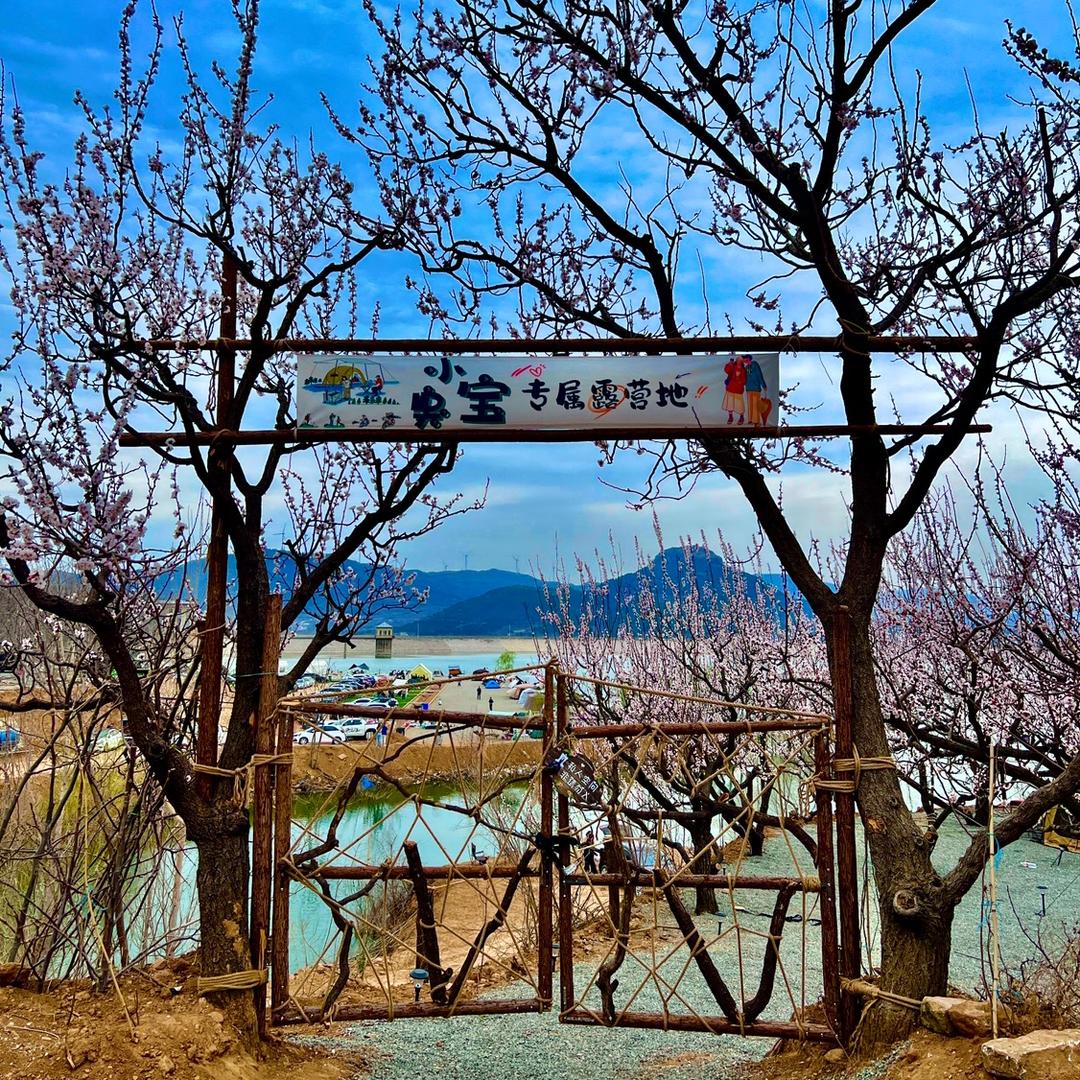 小臭宝爱骑车露营