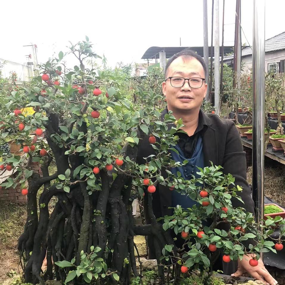 鑫阳园艺