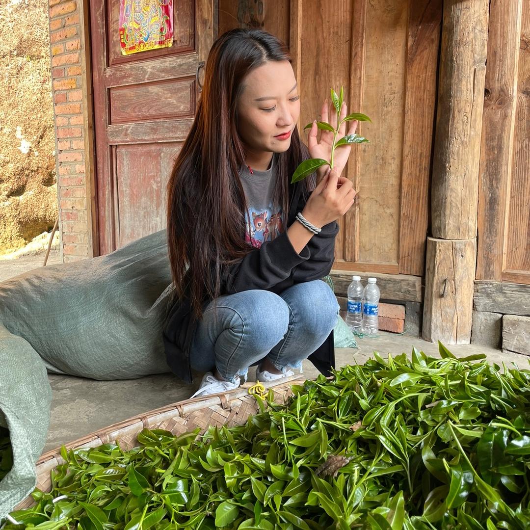 林巧嘉茶