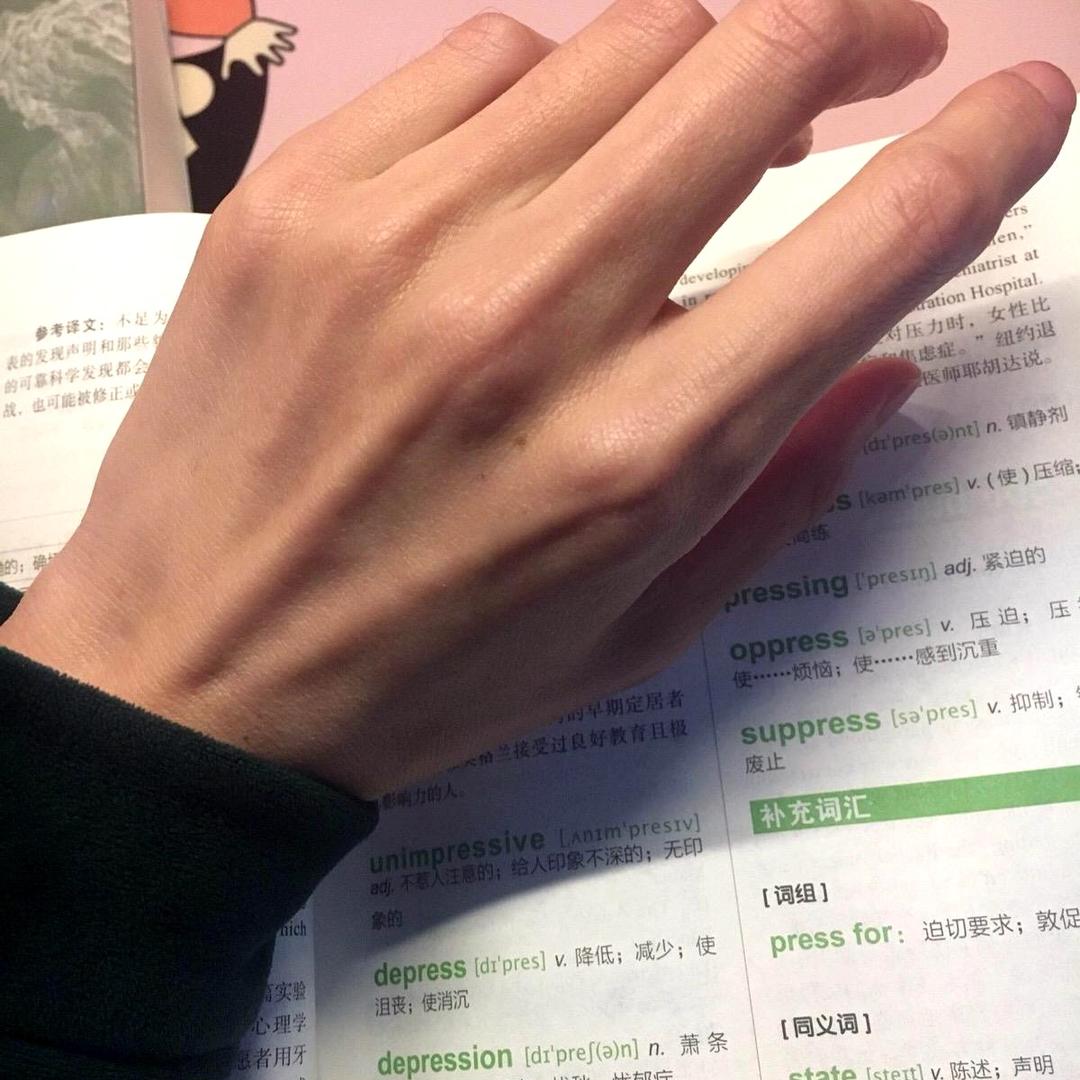 崔智友