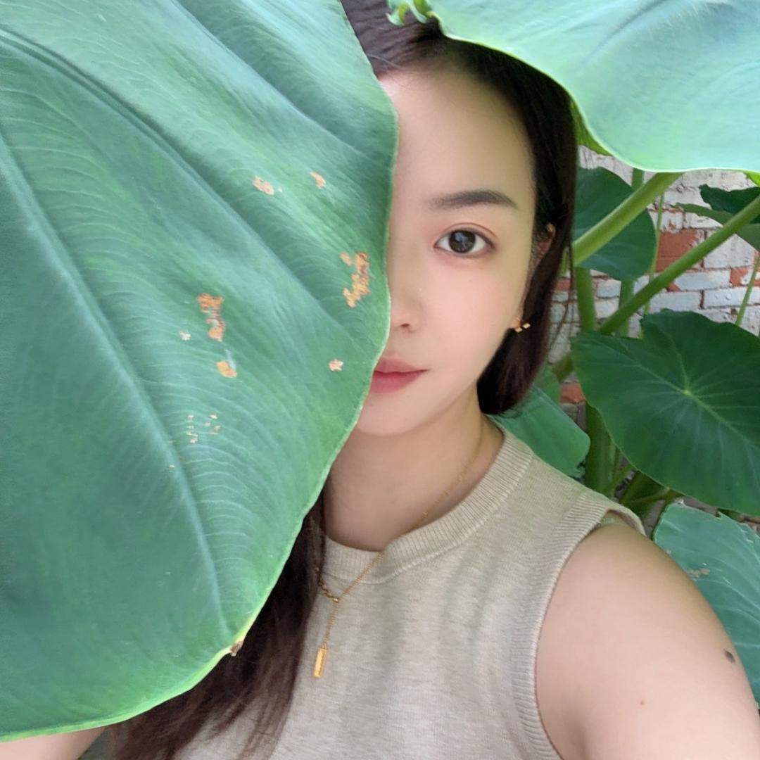 臻臻农圃