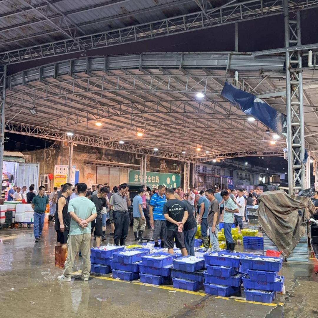 小黑带你吃海鲜