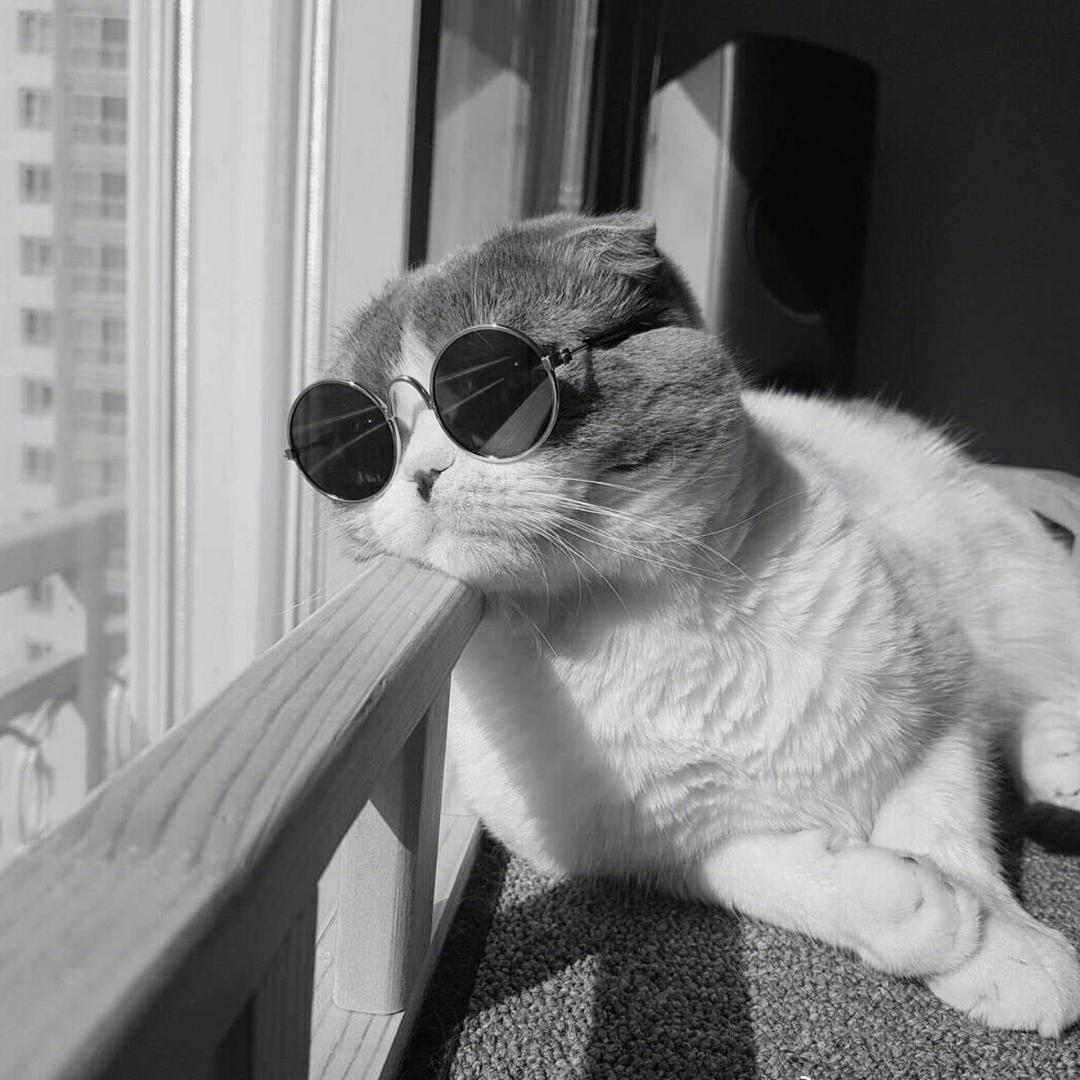 晚风依旧很温柔