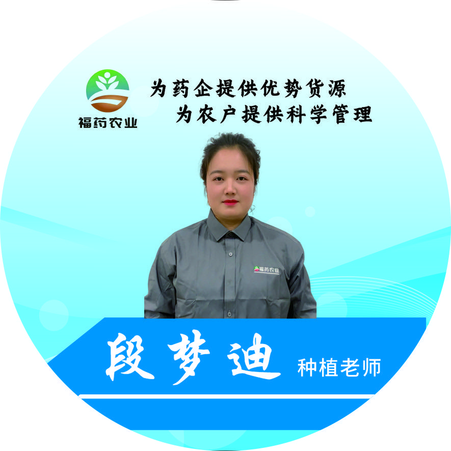 福耀农业—段梦迪(招学徒）