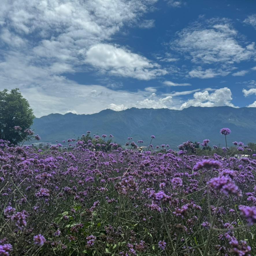 范友辉