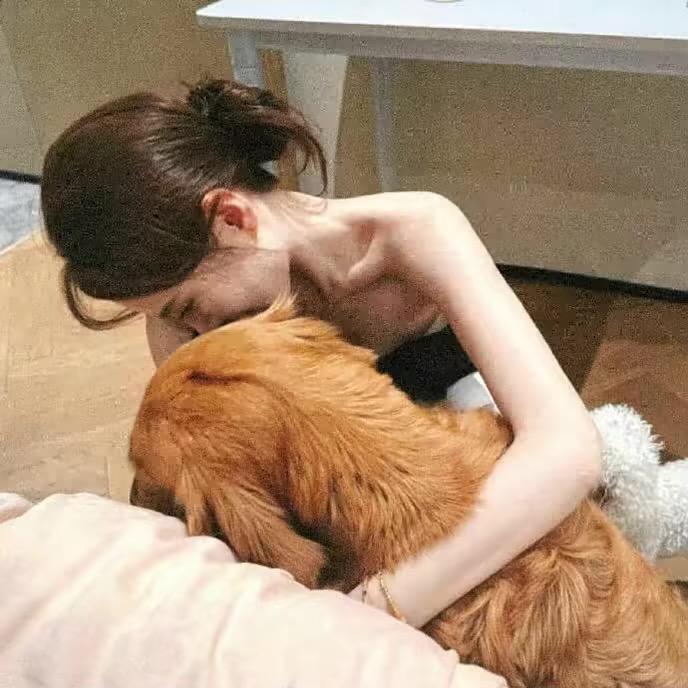 画个圈圈诅咒你