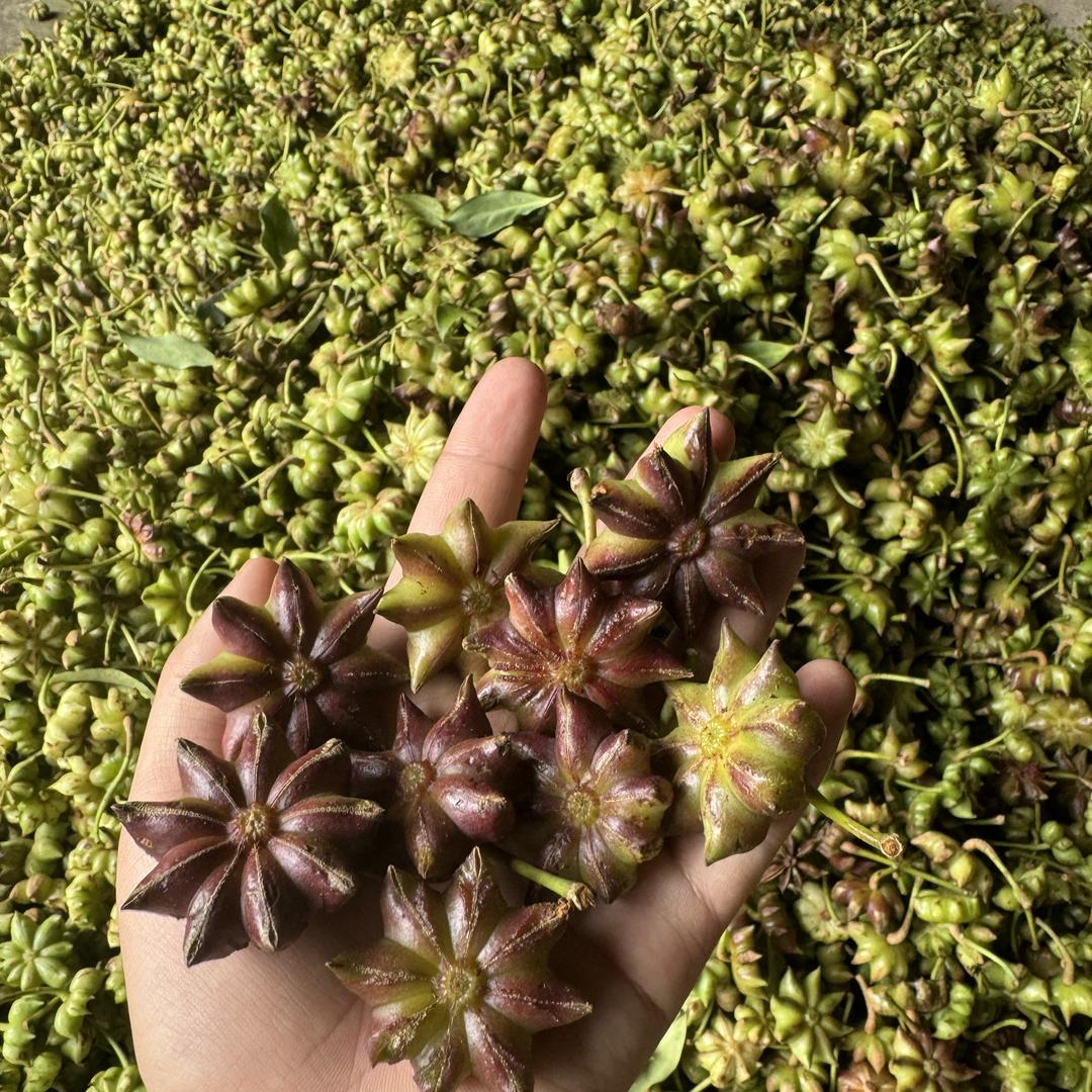 芒市森呼吸农产精选生活坊