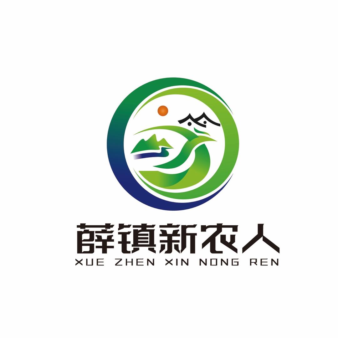 薛镇新农人