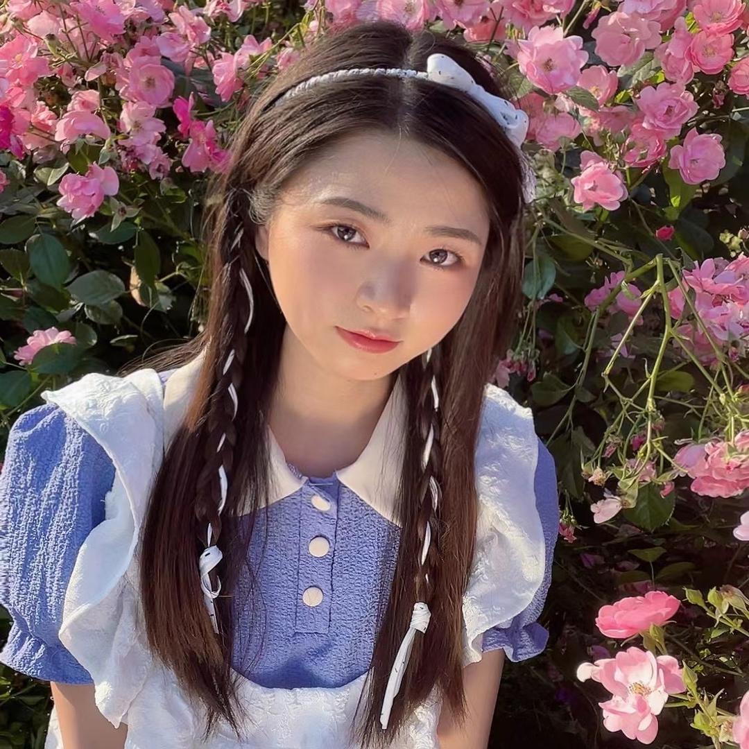 牡丹家花卉