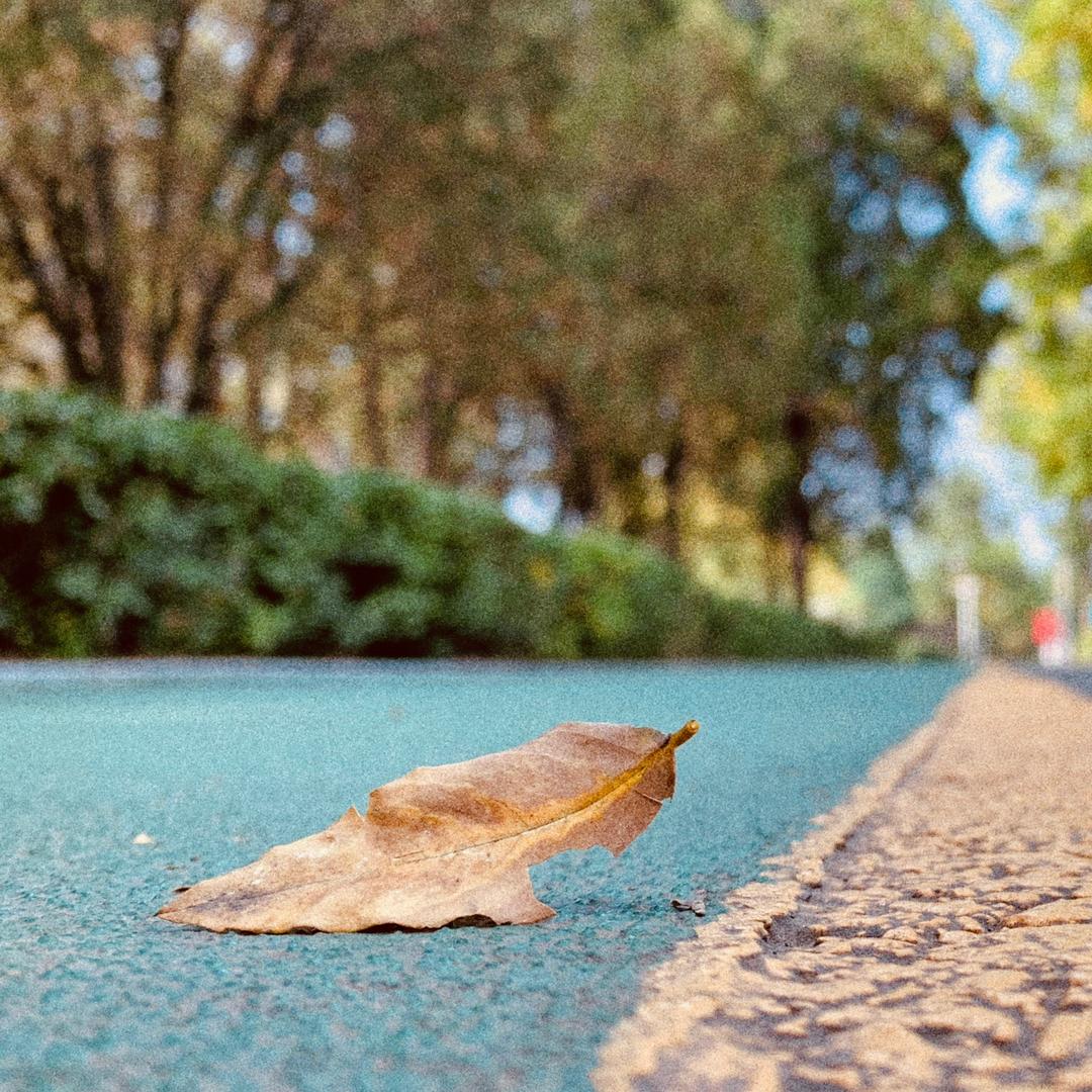 精分的叶辰