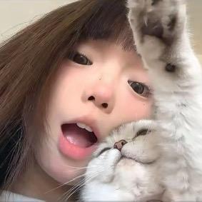 来碗饭