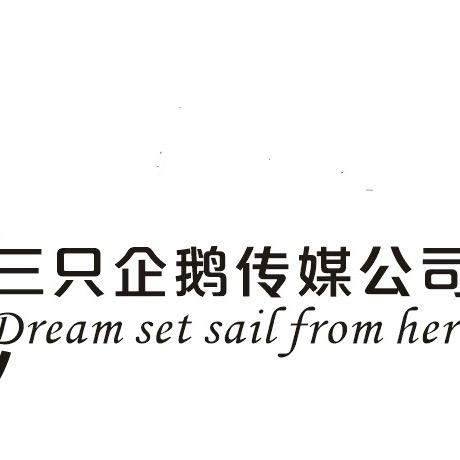 三只企鹅传媒