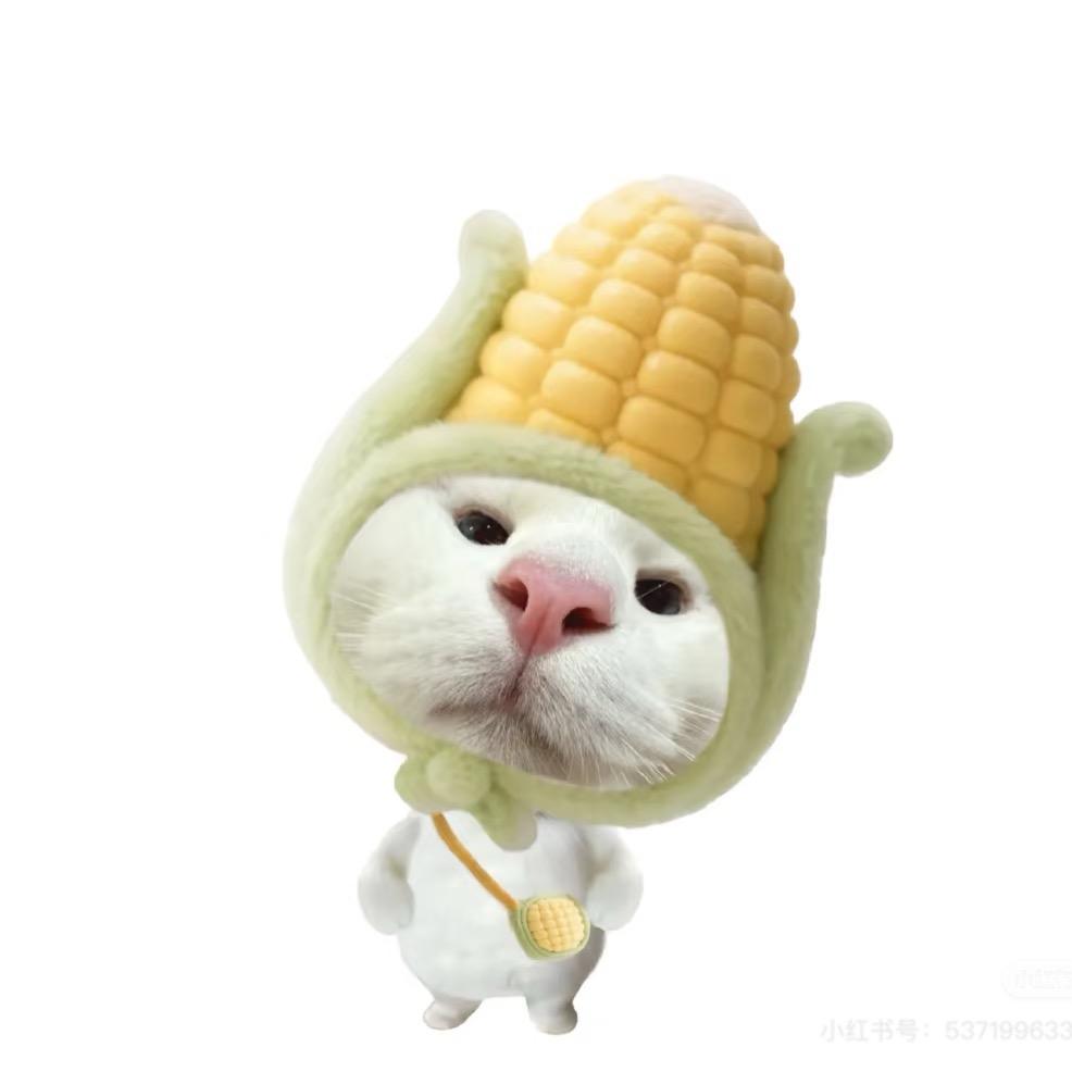 每天不想吃饭🍚