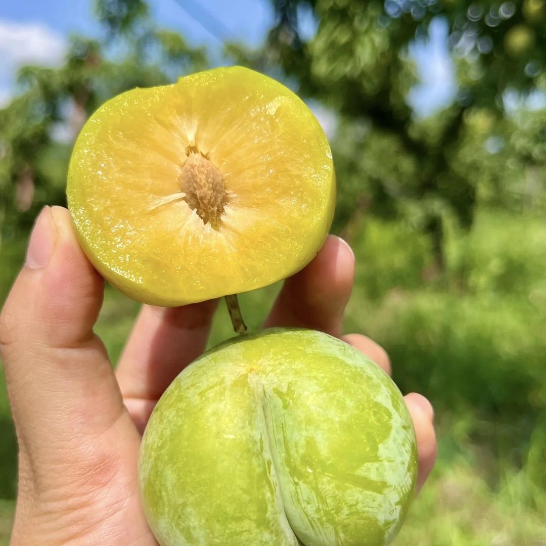 家家鲜水果