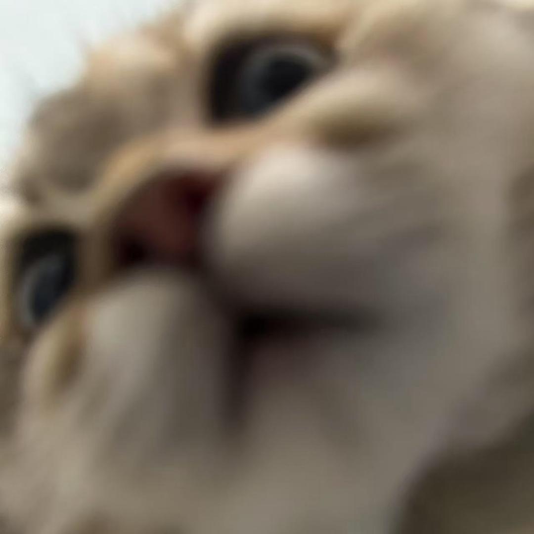 oyo