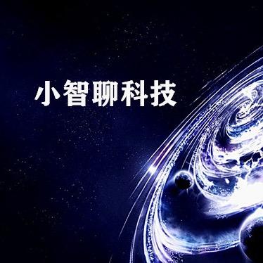 智网小智