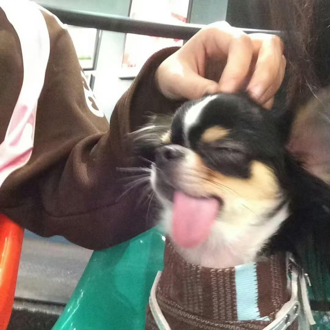 我是林导眼