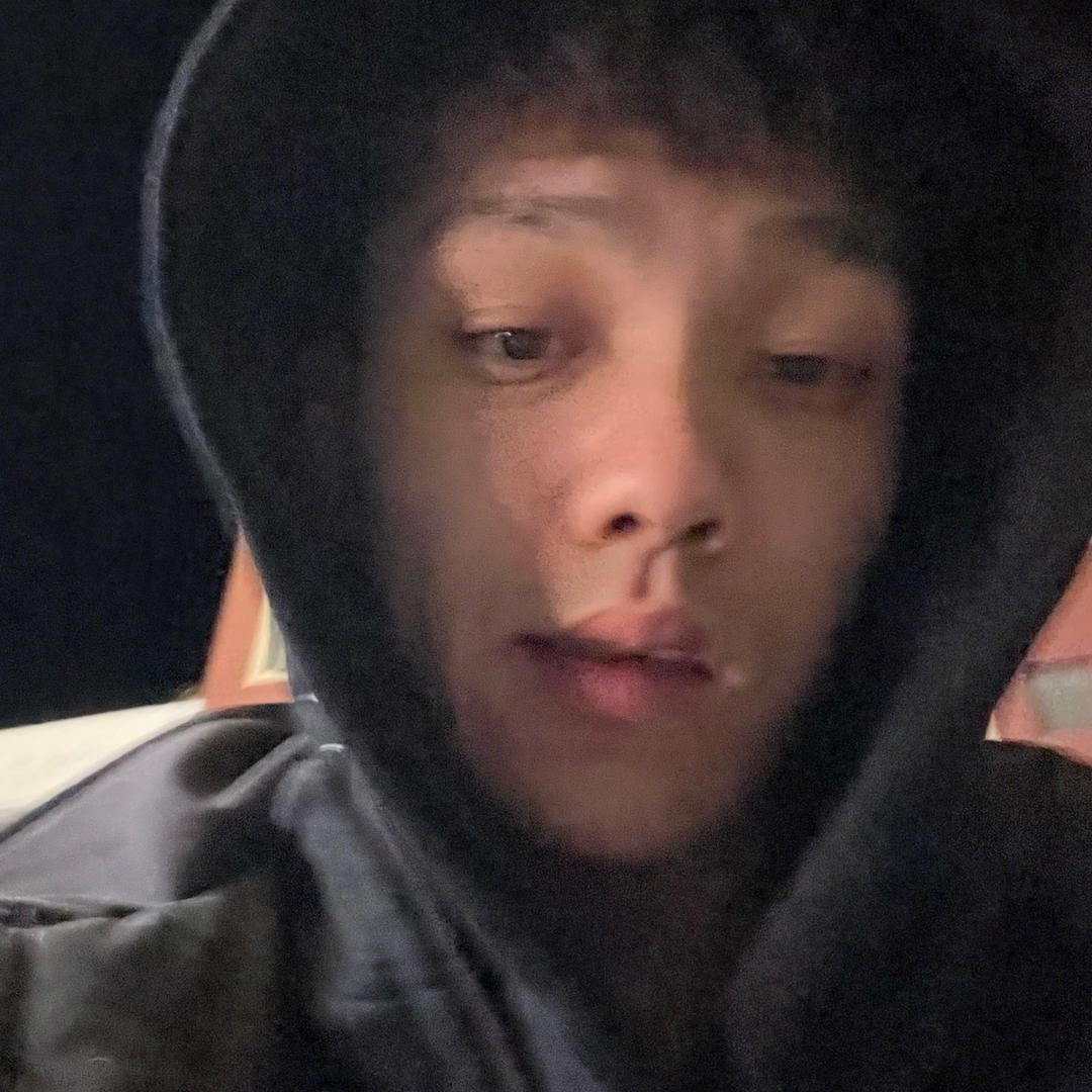 鴿子