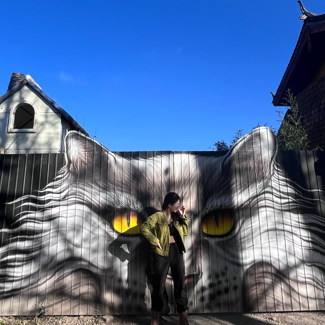 就是橘猫