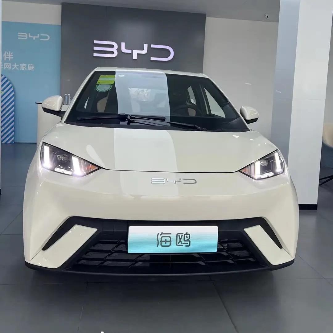 BYD海鸥小仙女