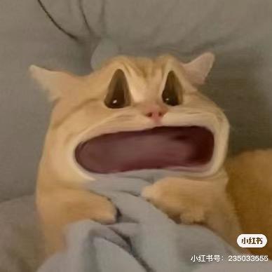 巴鲁巴鲁
