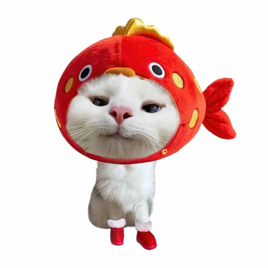 半块板栗饼