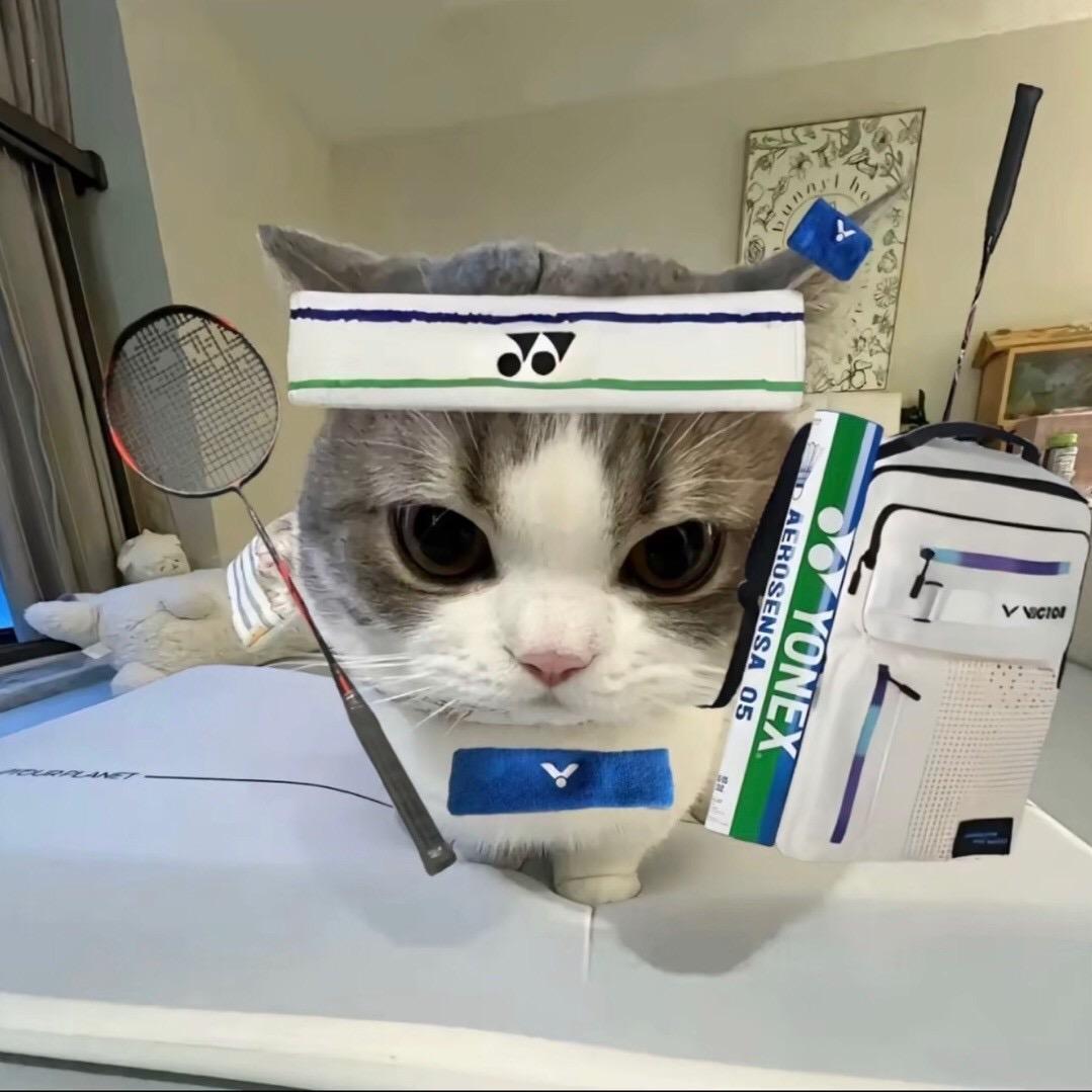 旺仔小裤头