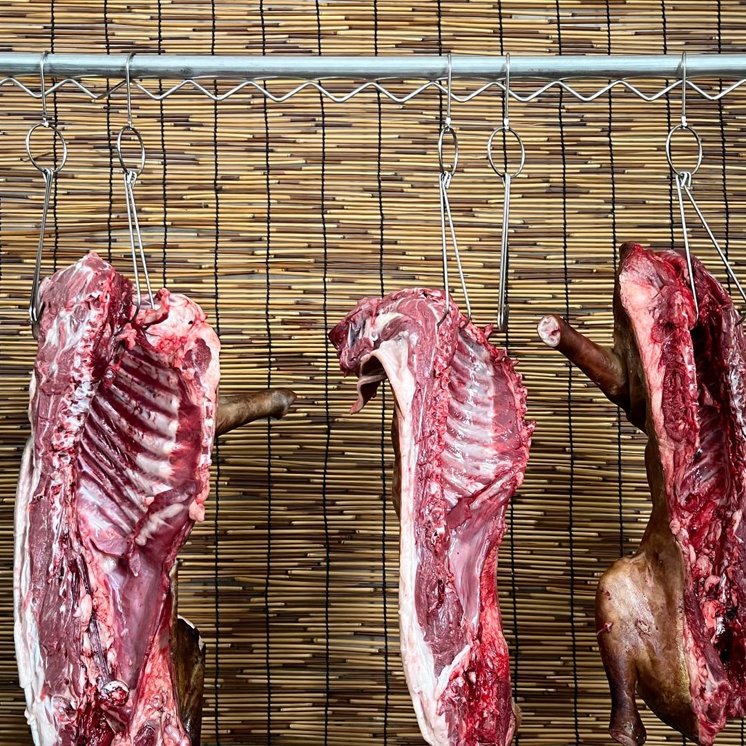 禾杆鲜肉（看主页置顶）