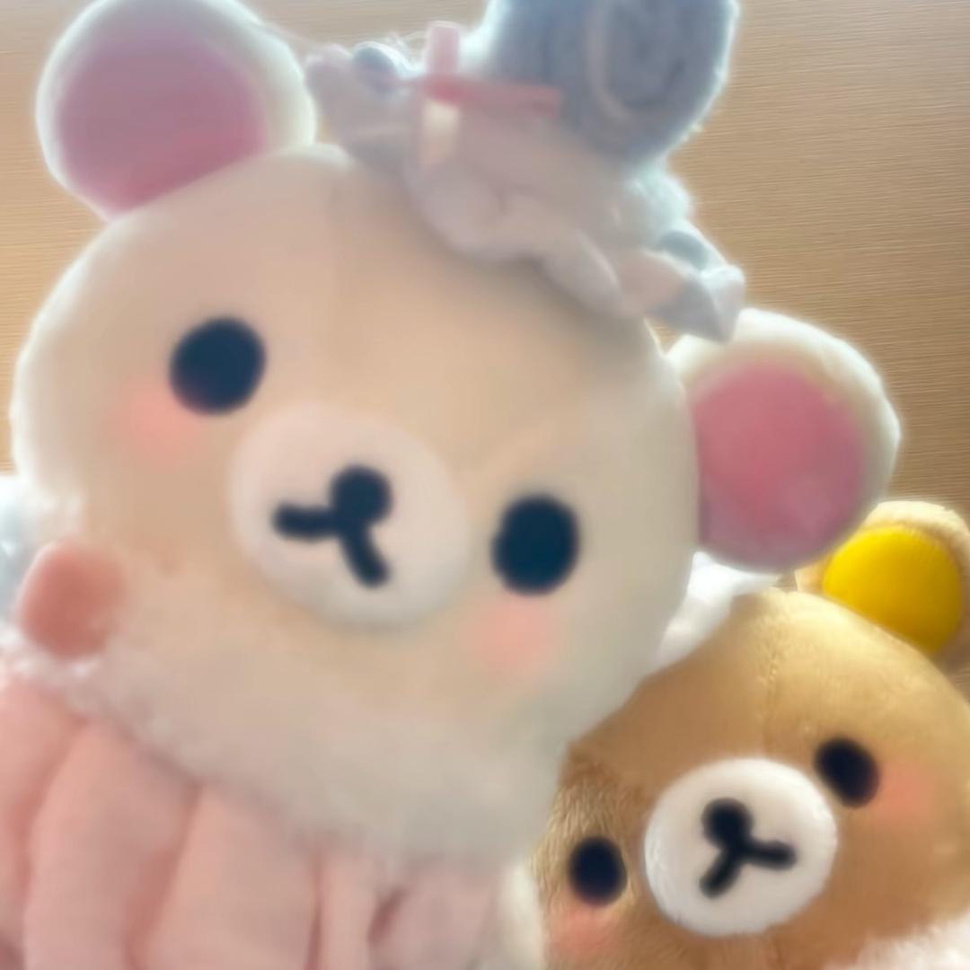 我爱申鸿鹏