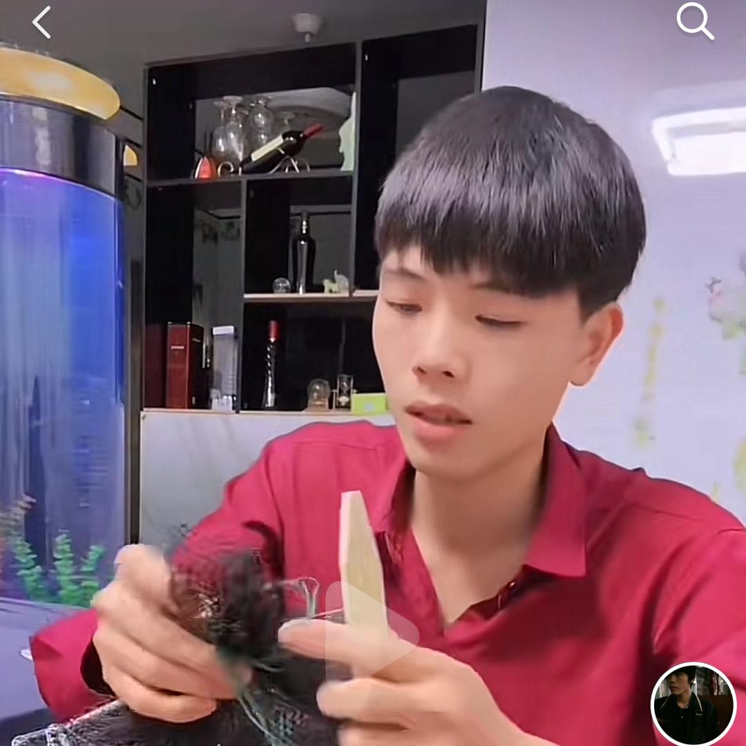 牛哥水族馆观赏鱼