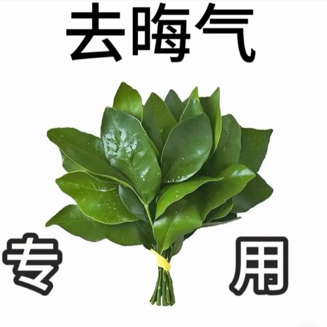 🟣🟣🟣🟣🟣🟣🟣🟣