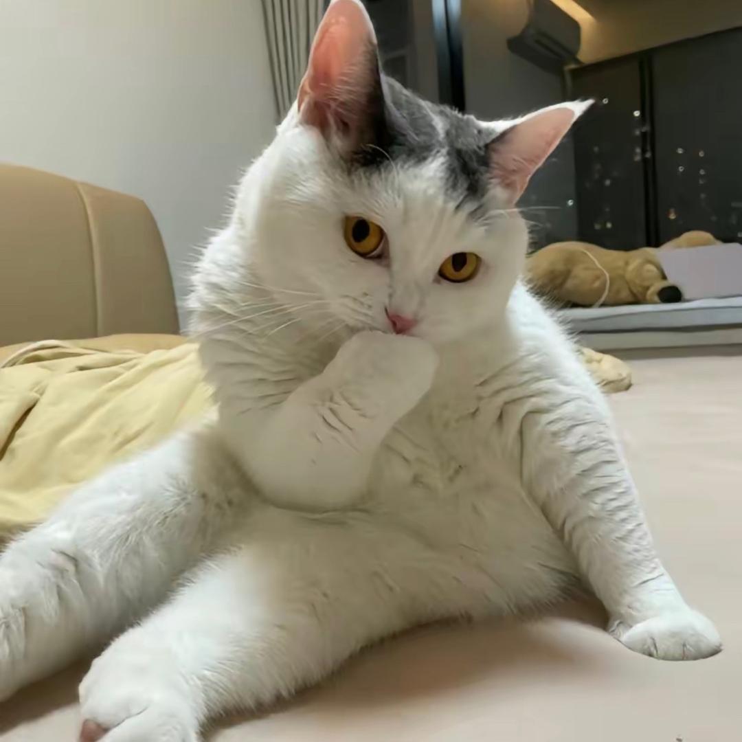 哦哦哦哦哦哦哦哦哦哦哦哦哦