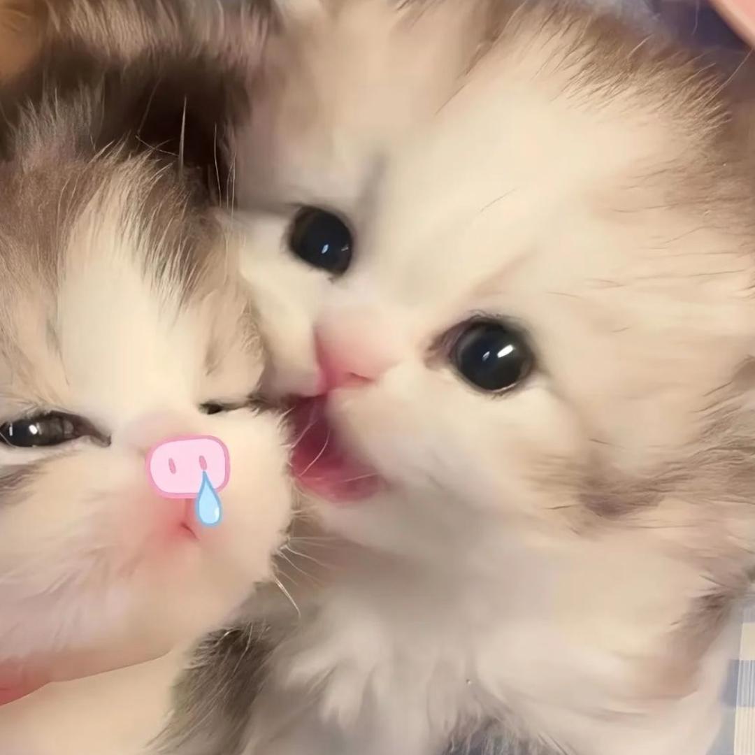嘟嘟kill