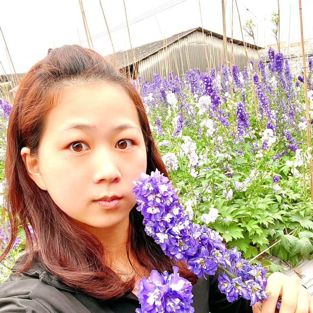 迷米迷米琪米Miki