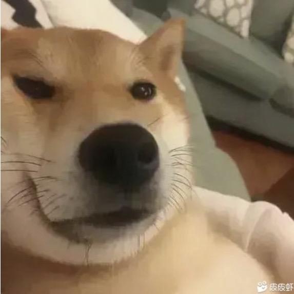 征途狗门