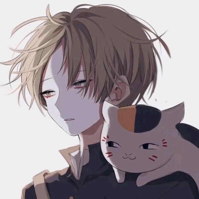 橘猫