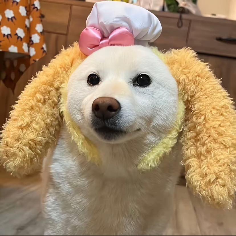😊 .