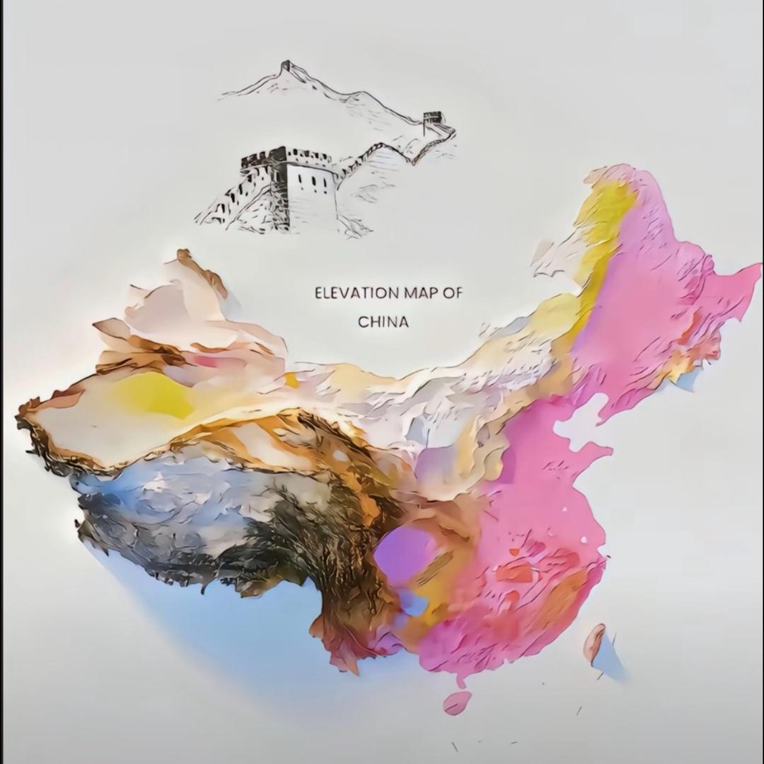 🐈：喵~我叫初一