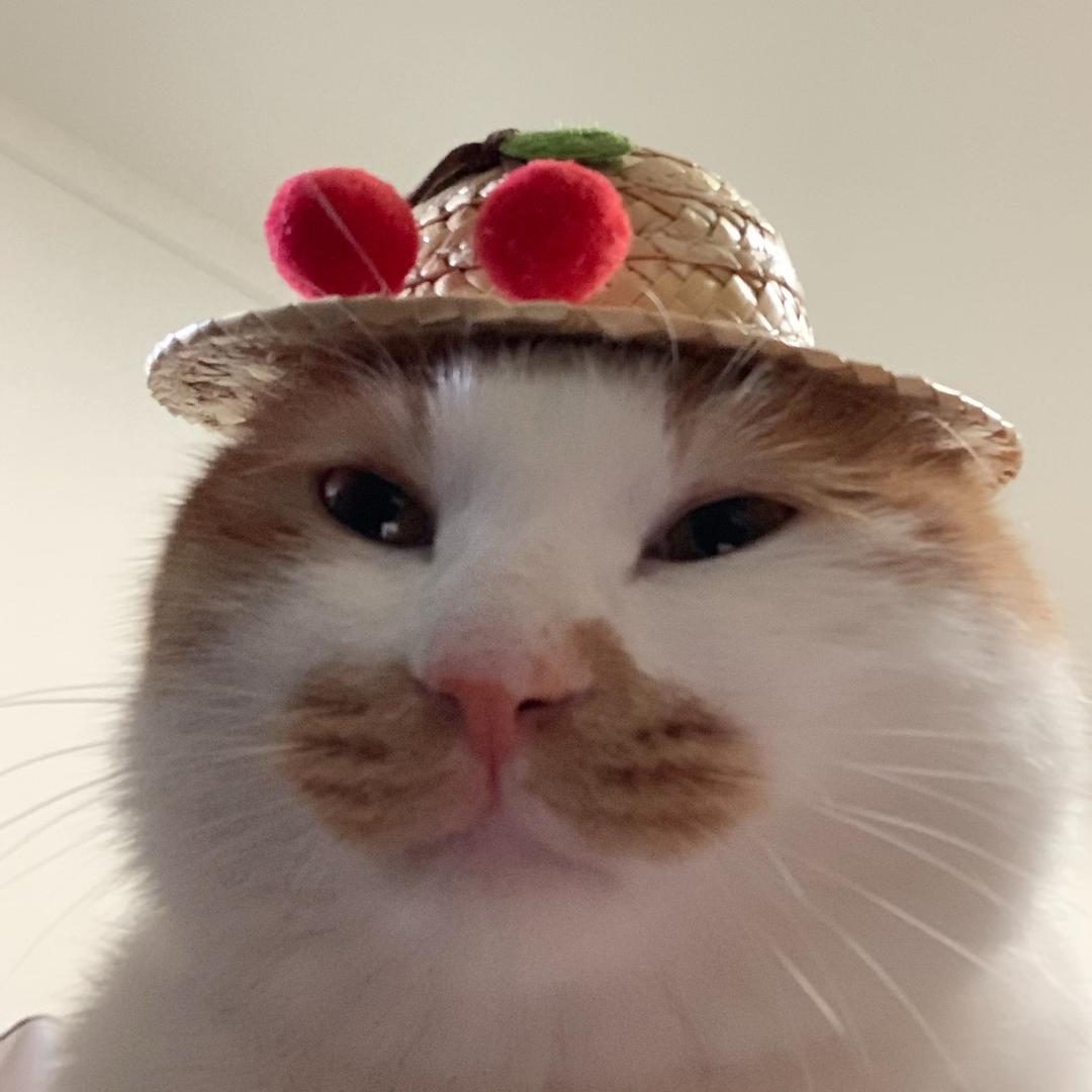 赖皮皮蛇