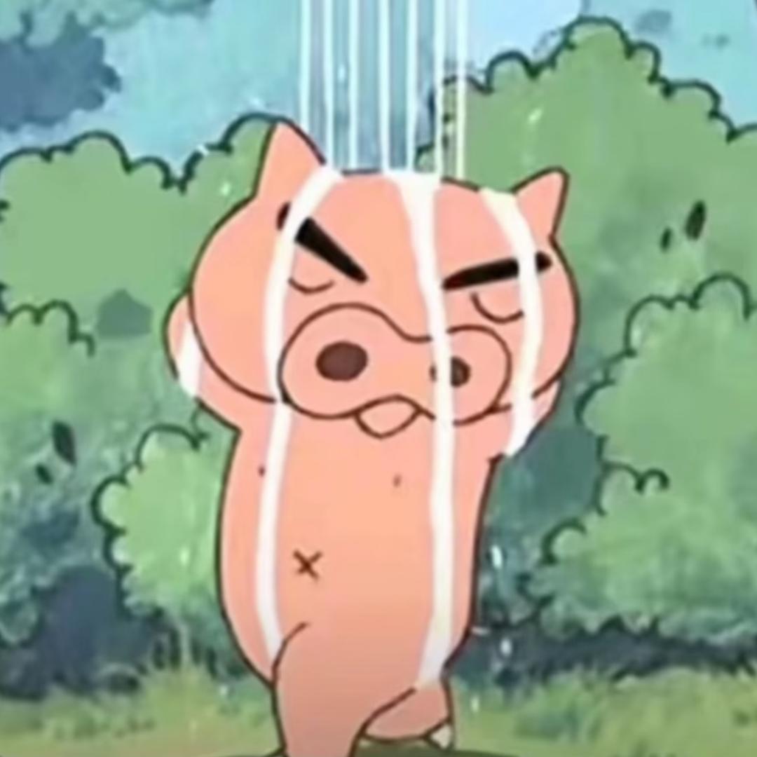 梅梅猪