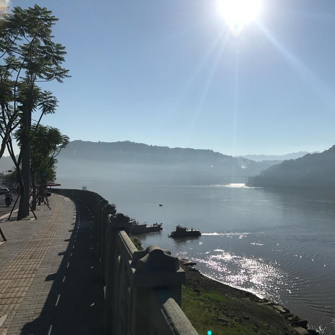 👷👷👷一路向楊