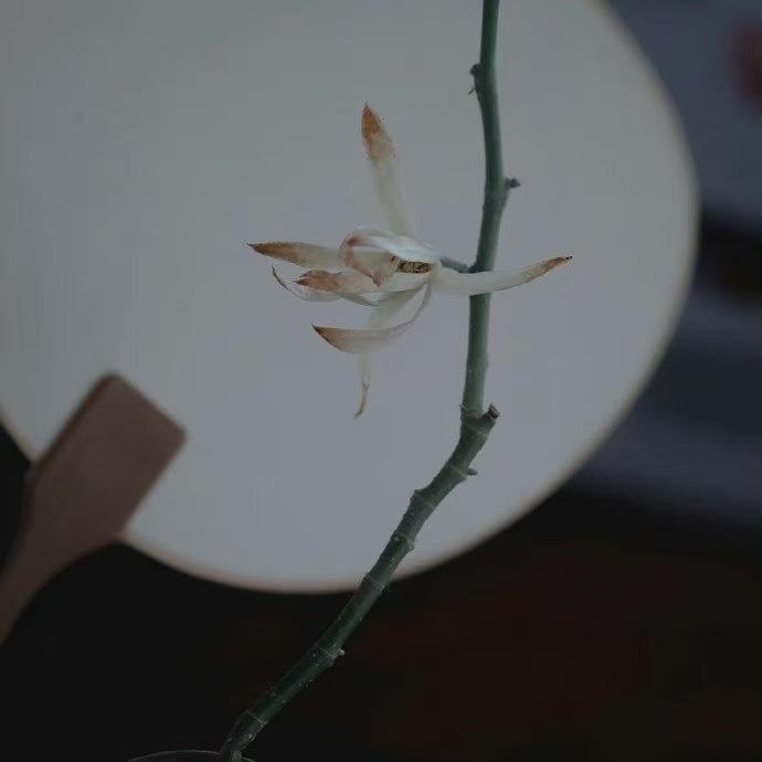 小麗同學ℽ