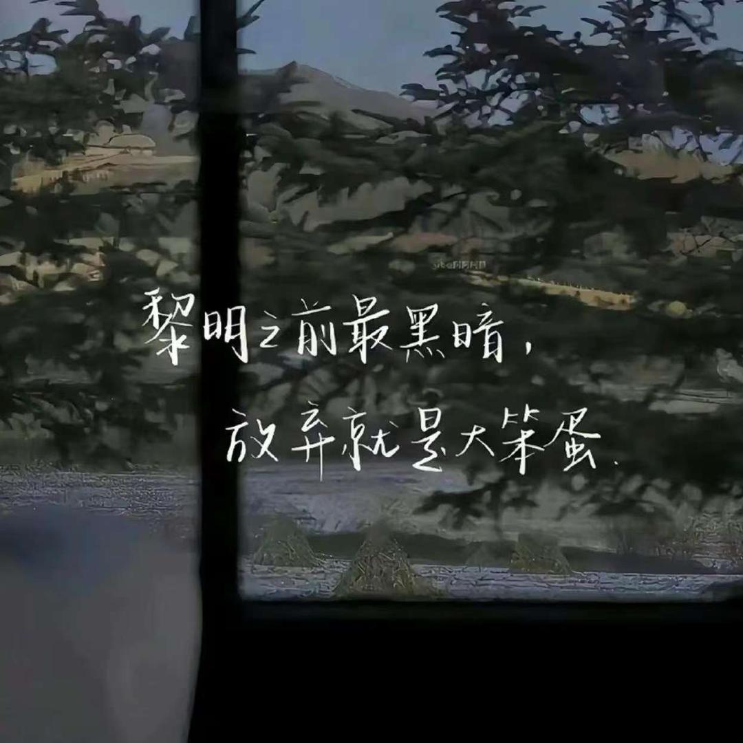 衣衣追剧
