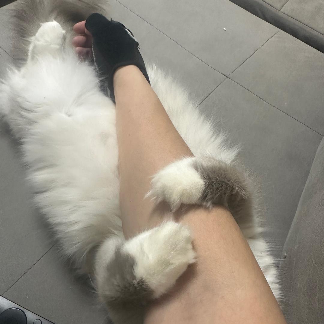 不良人